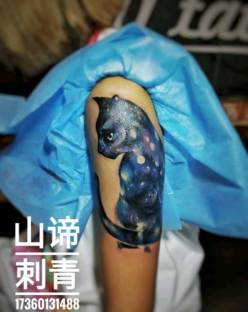 遮盖 星空猫咪 大臂纹身图片