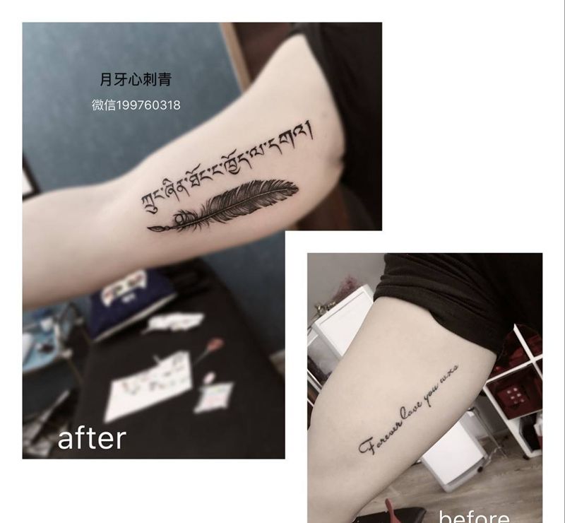 遮盖旧纹身纹身图片_成品手臂清新静物旧遮盖羽毛纹身图案