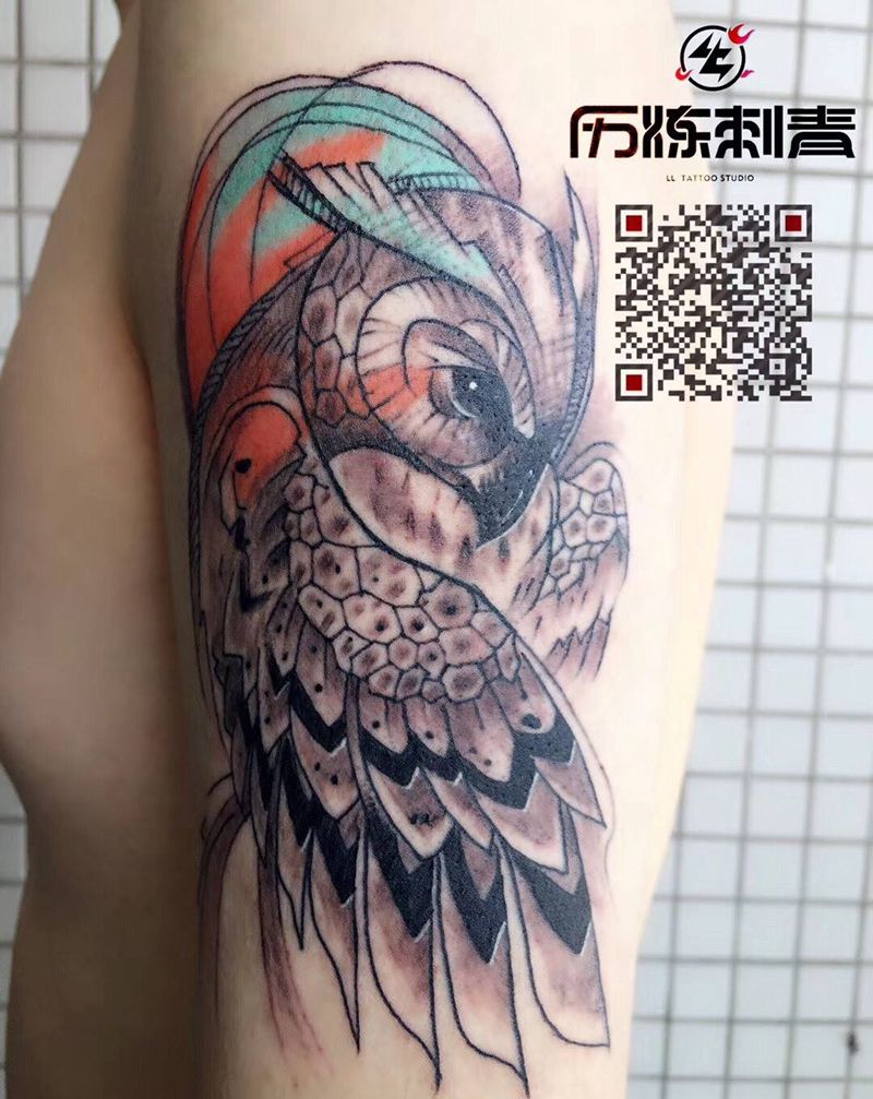 猫头鹰纹身图片