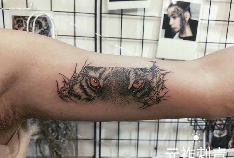 心有猛虎纹身图片_手臂手部点刺老虎纹身图案