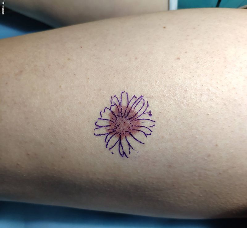 胎记  遮盖纹身图片_腿部纹身图案