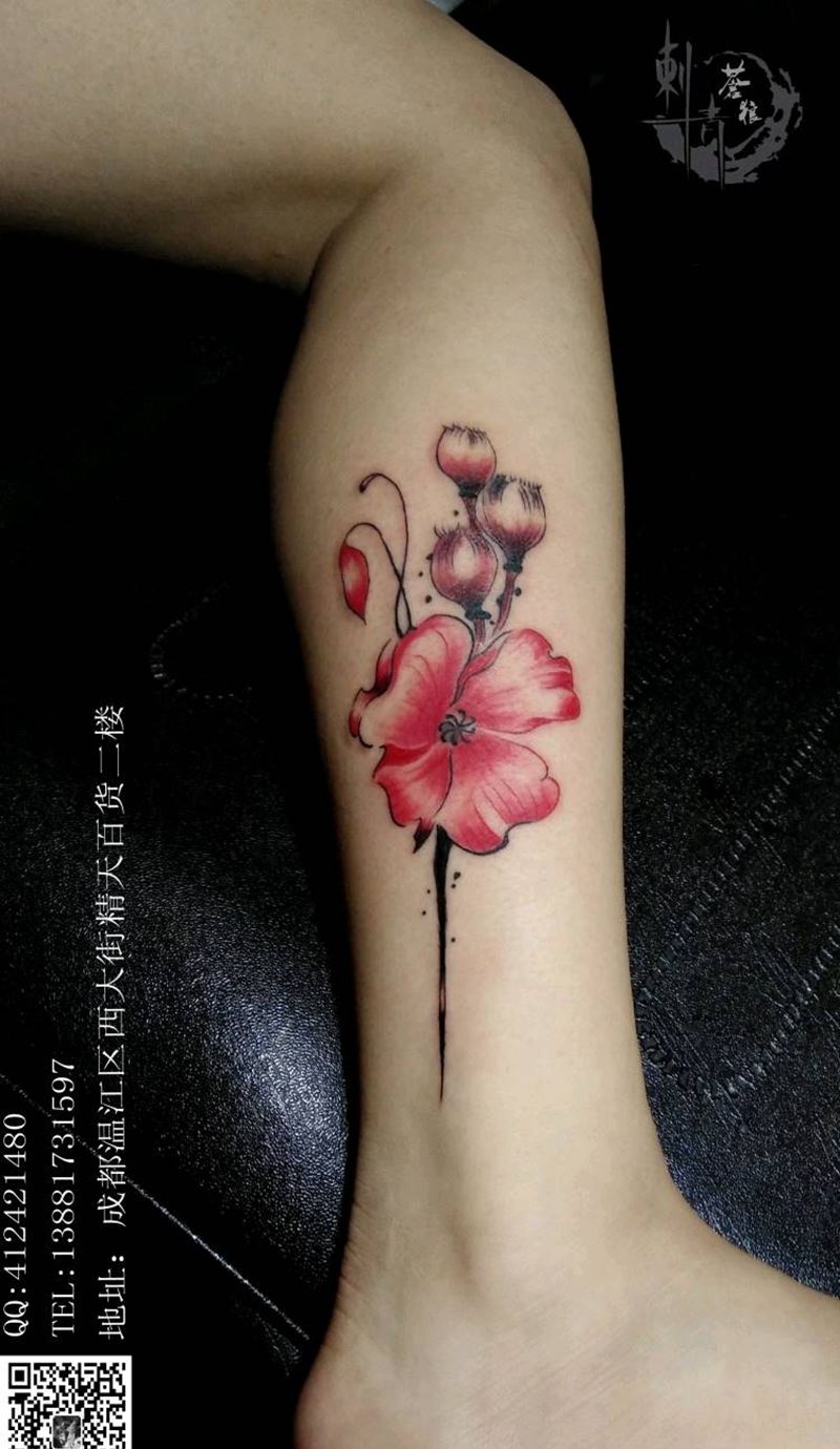 罂粟花纹身图片