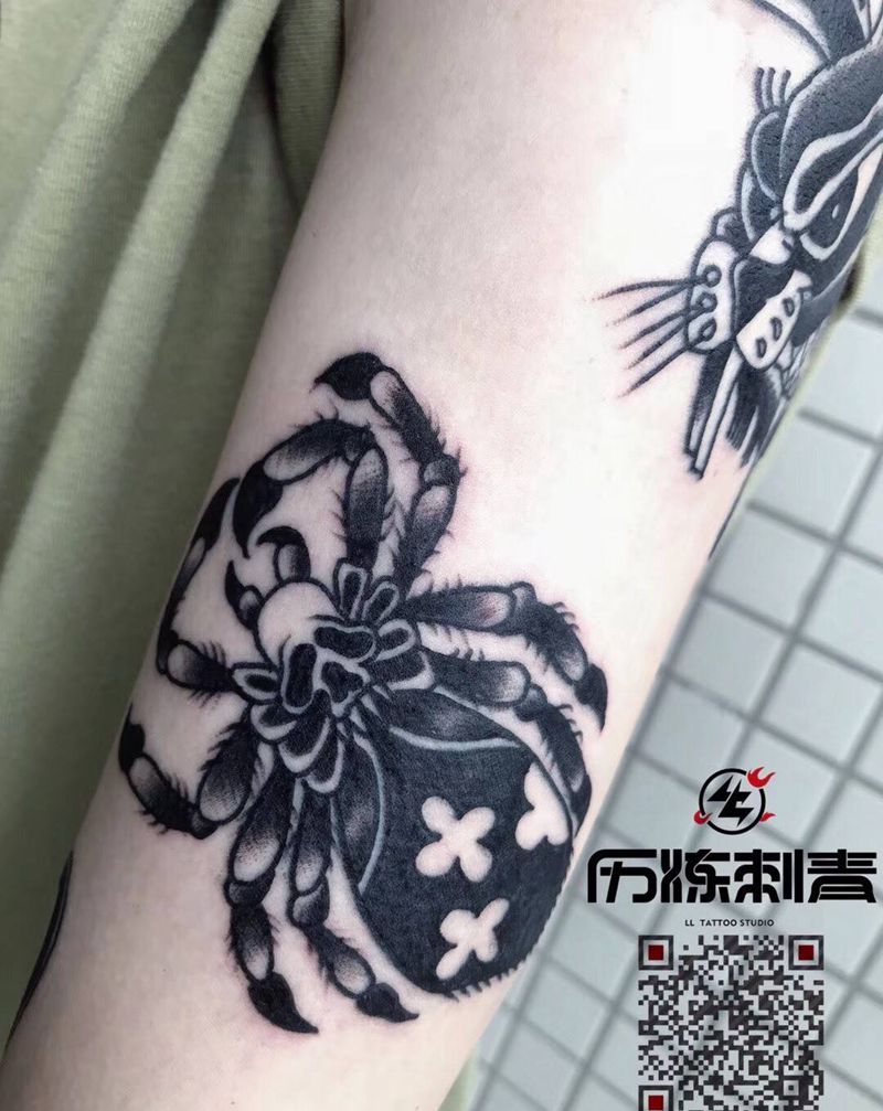 蜘蛛纹身图片