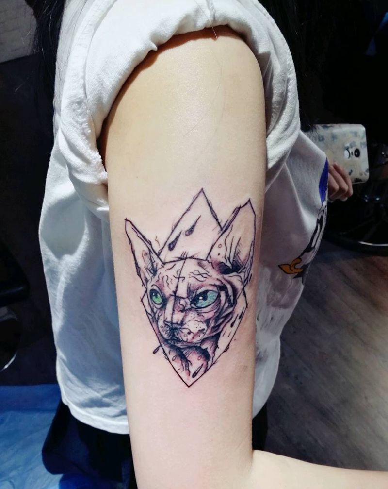 猫纹身图片_手臂欧美动物成品纹身图案