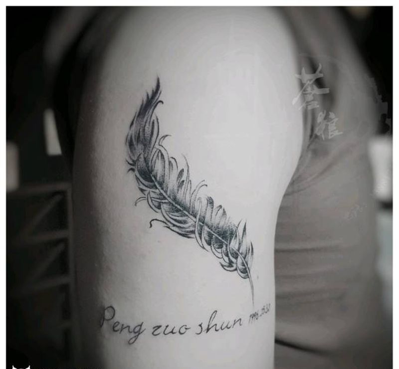 羽毛纹身图片_手臂纹身图案