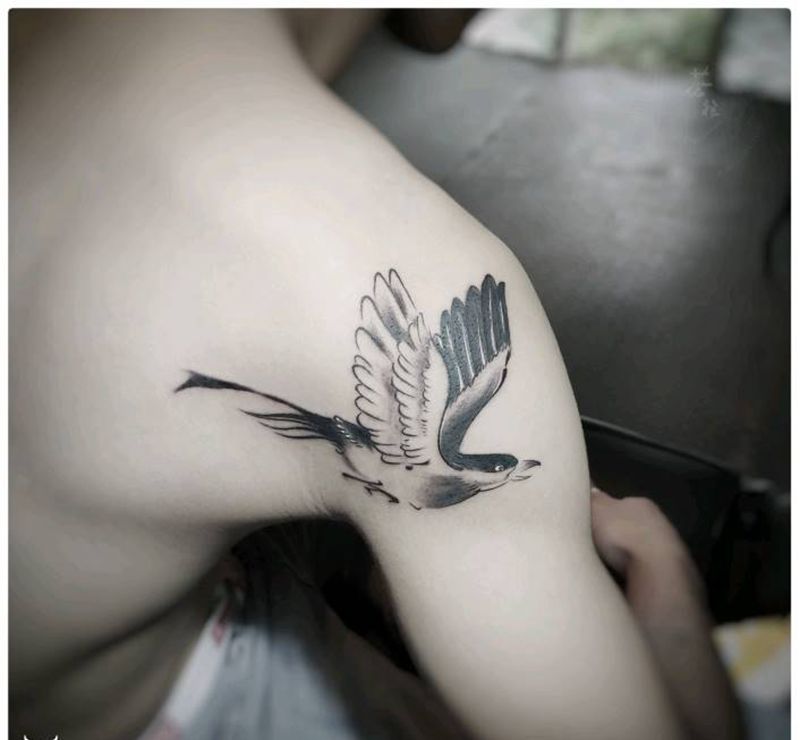鸟纹身图片_手臂纹身图案