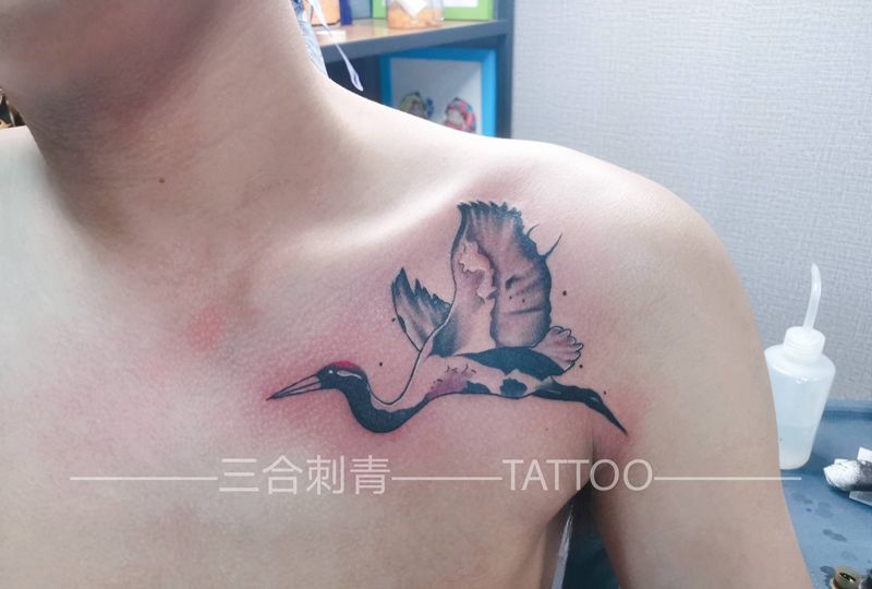 仙鹤纹身图片_胸部纹身图案