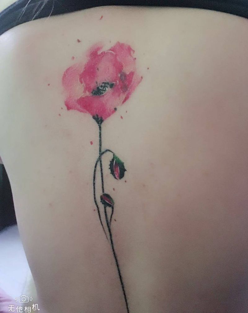 水彩罂粟花 恢复期顾客反馈纹身图片_成品背部清新欧美植物静物纹身图案