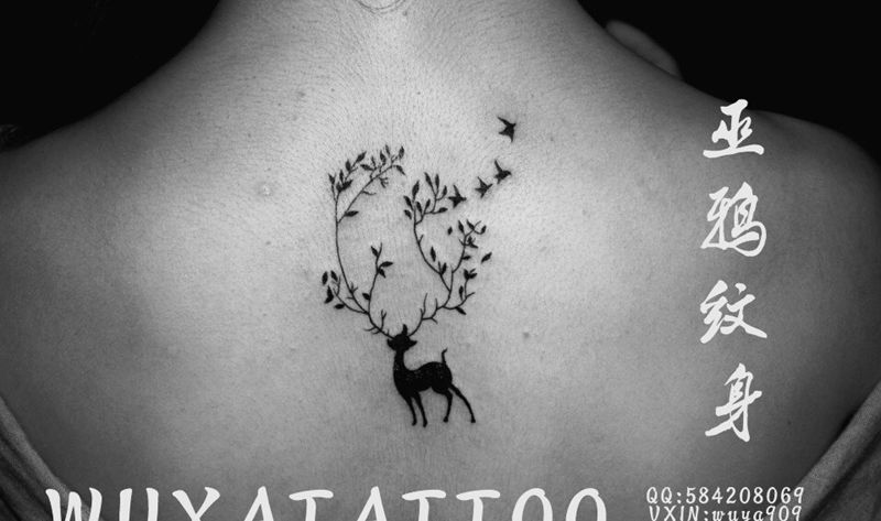 小纹身纹身图片_成品胸部背部手臂清新国画字符动物纹身图案