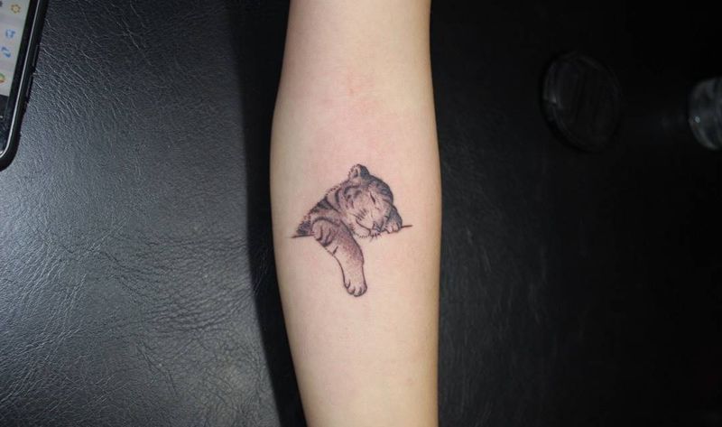 小脑斧纹身图片_成品手臂手部欧美清新写实肖像动物纹身图案