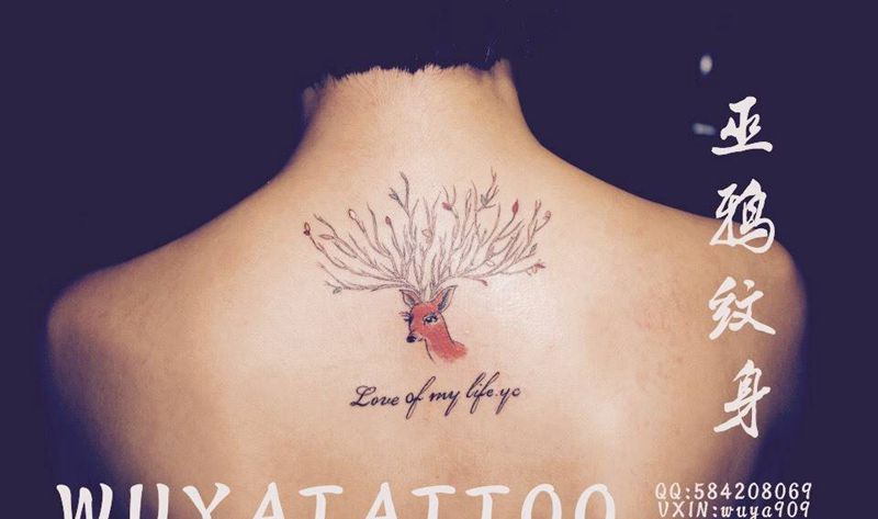 本店作品纹身图片_成品动物几何植物鬼神传统清新纹身图案