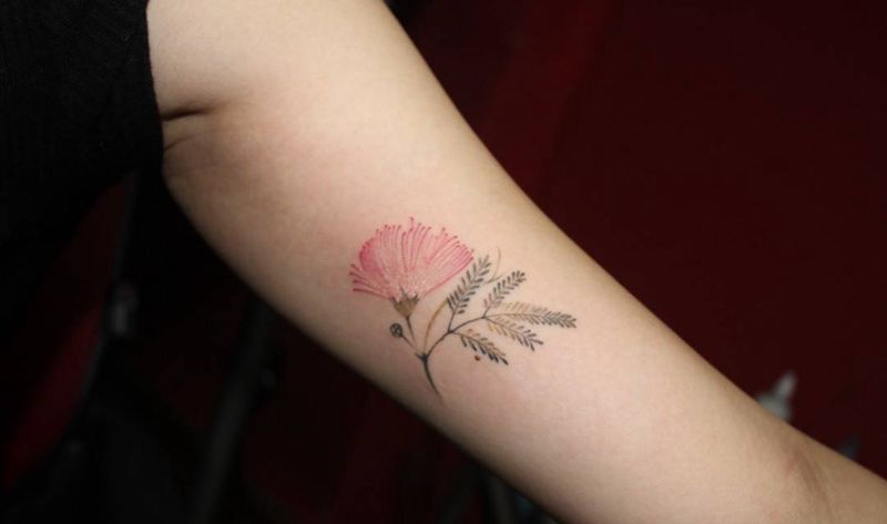 合欢花纹身图片