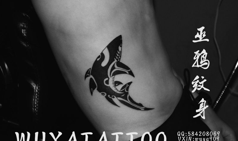 鲨鱼彼岸花英文纹身图片_成品腰部背部手臂欧美写实清新几何字符植物纹身图案