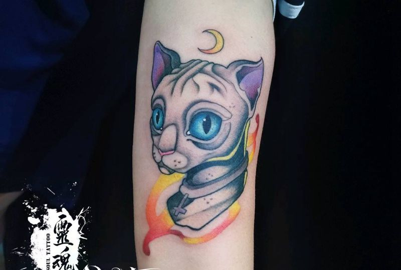 斯芬克斯猫纹身图片_手部纹身图案
