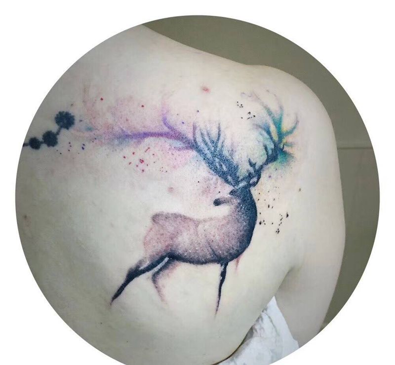 水彩驯鹿纹身图片_成品手稿清新背部动物水彩纹身图案