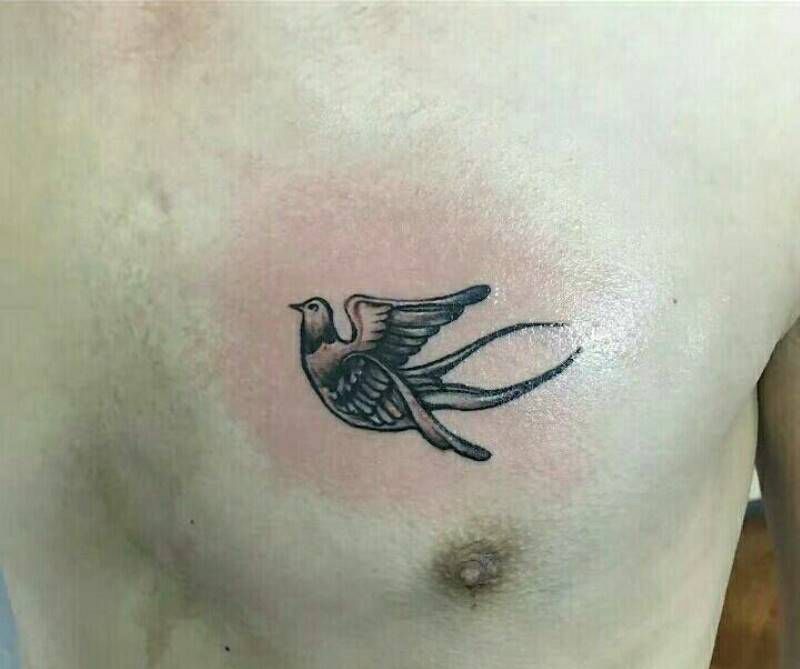 小燕子纹身图片