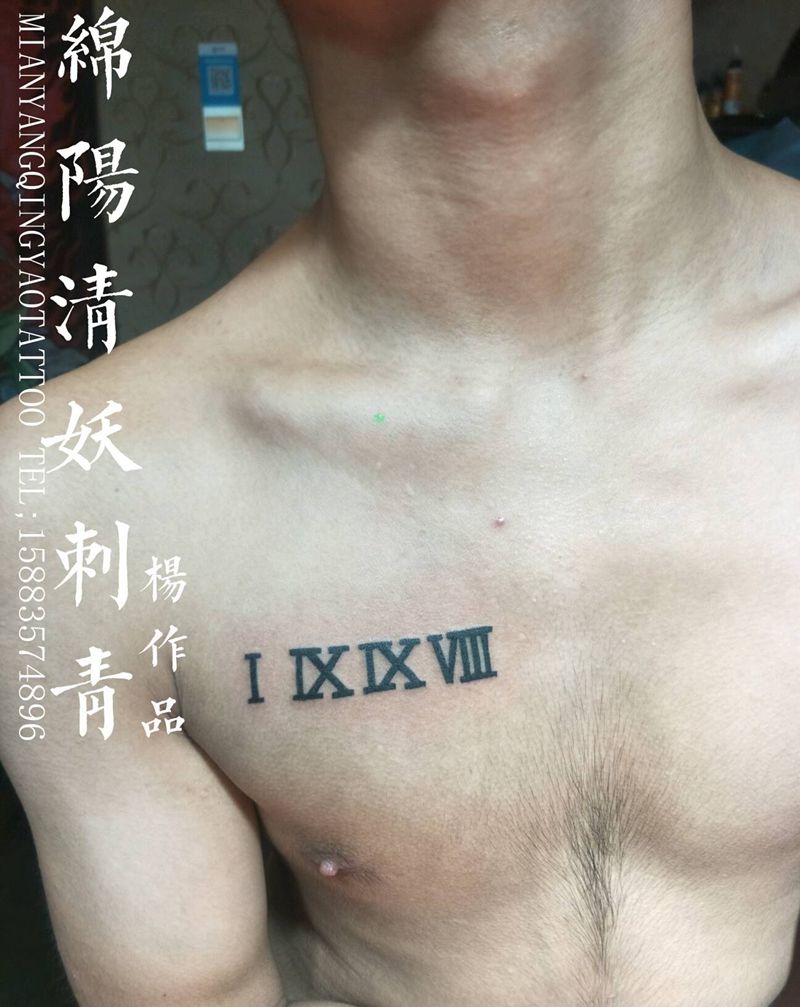 胸口罗马数字纹身纹身图片_胸部臀部腿部手部脚部欧美清新贴纸动物纹身图案
