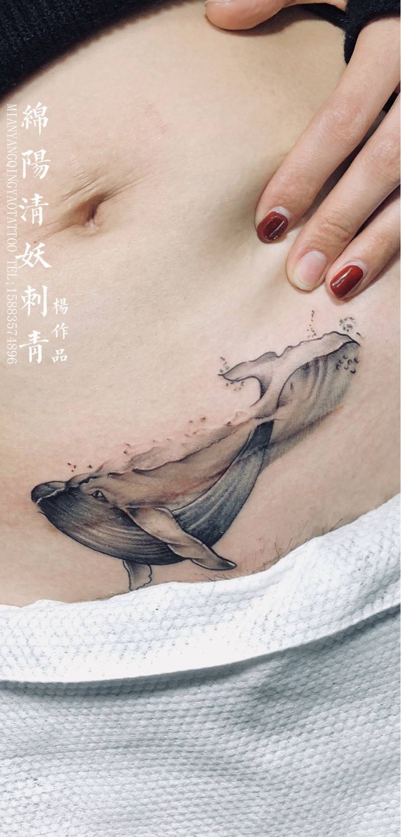 鲸鱼鲨鱼海豚纹身纹身图片