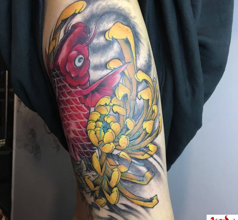 传统鲤鱼，未完成纹身图片