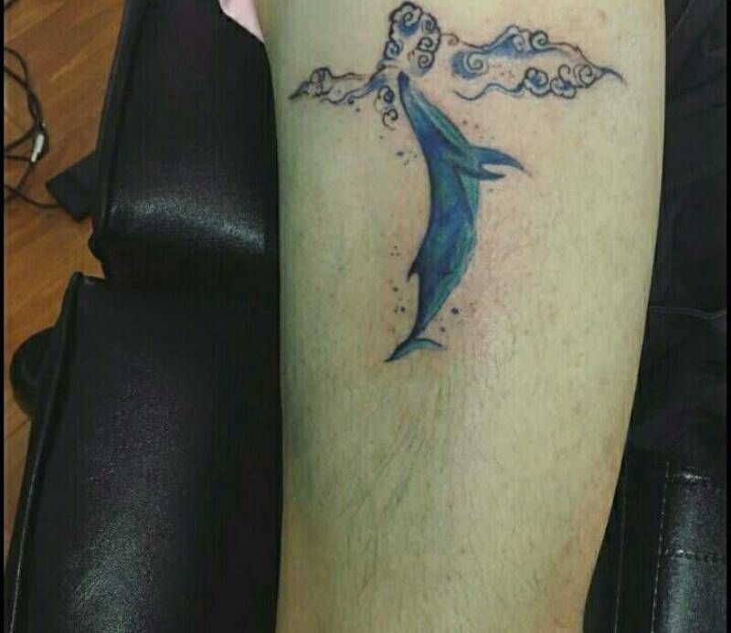 海豚纹身图片