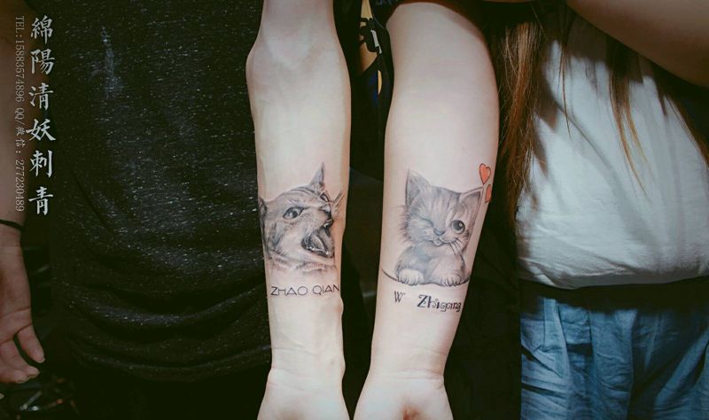 情侣纹身猫纹身 乖不乖纹身图片_胸部腰部背部手臂腿部欧美传统肖像清新国画纹身图案