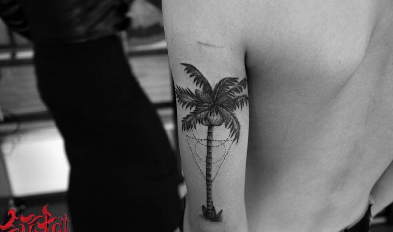 椰树纹身纹身图片