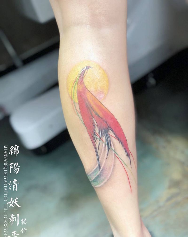 凤凰纹身图片