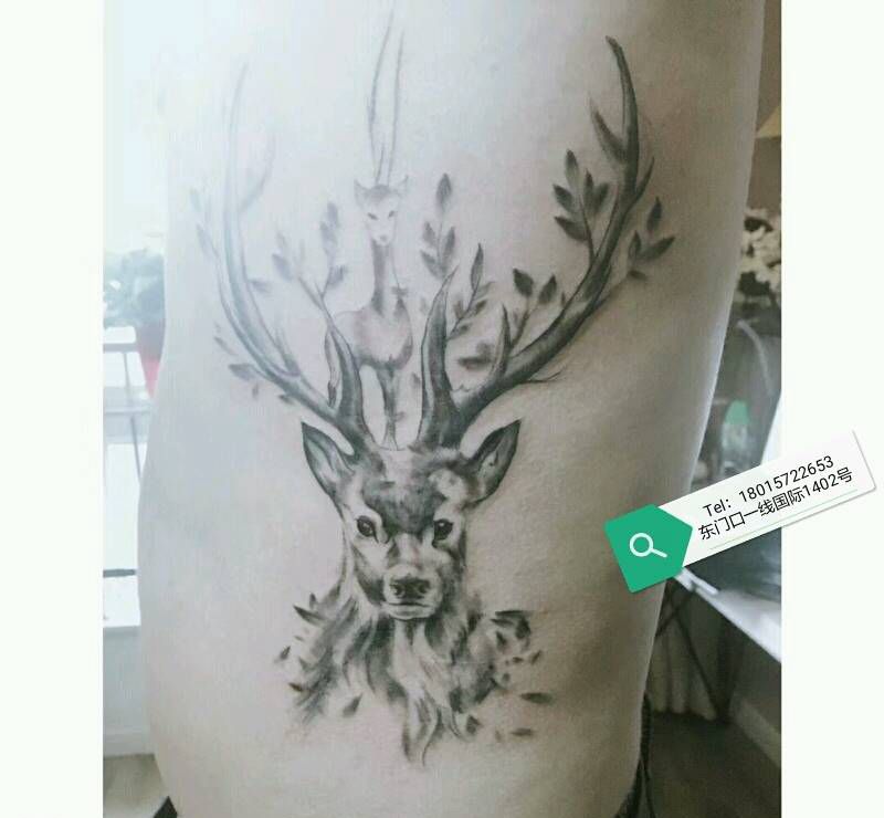 鹿纹身图片