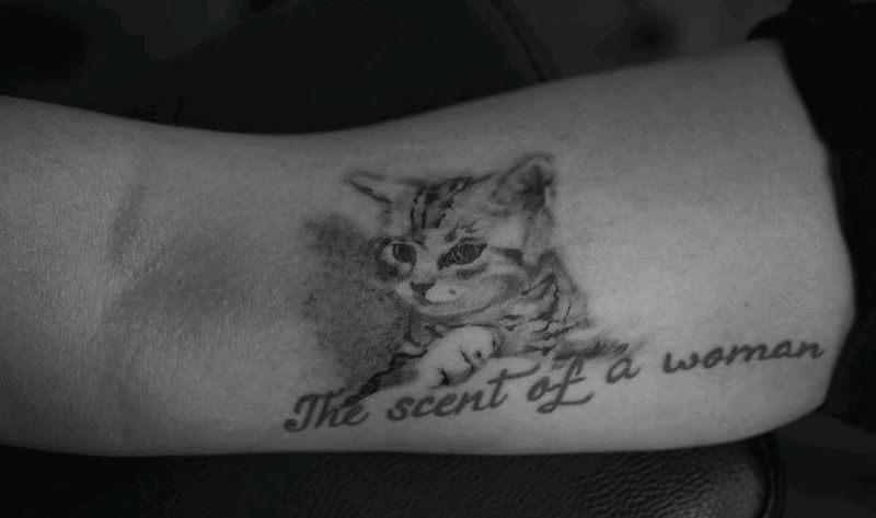 猫主子纹身图片