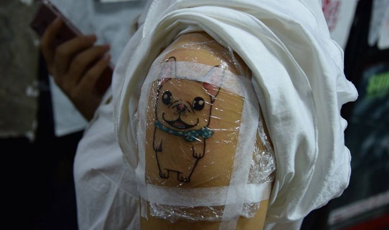 小法斗纹身图片