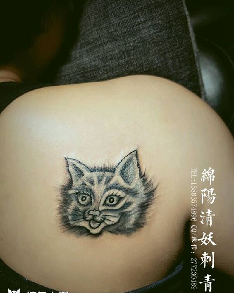 猫纹身图片