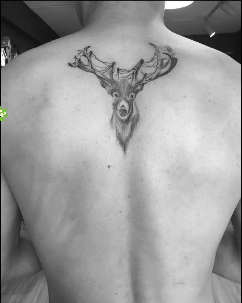 鹿纹身图片