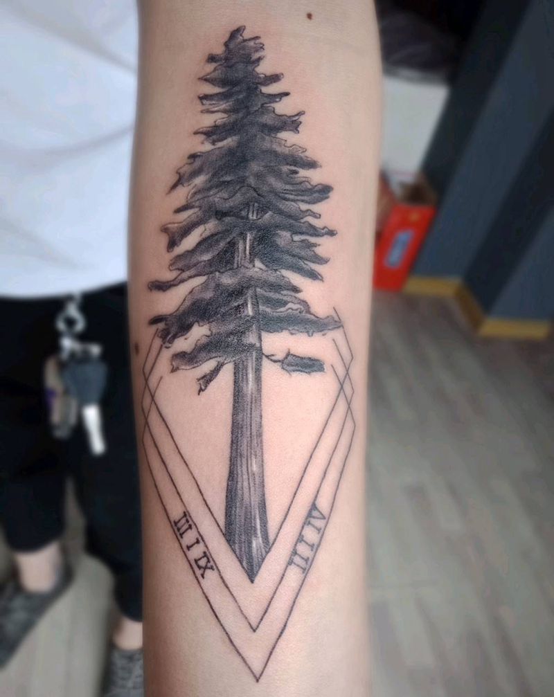 松树纹身图片_手臂树    几何纹身图案
