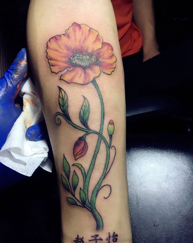 罂粟之美纹身图片