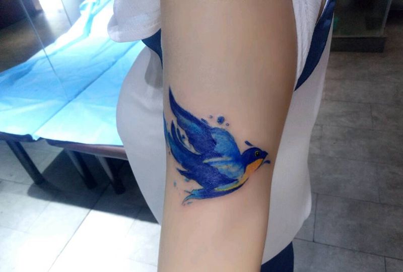 鸟（遮盖）纹身图片