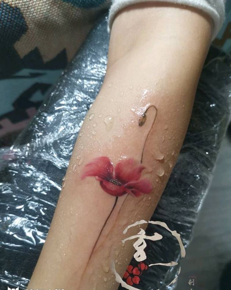 罂粟花遮盖小伤疤一枚纹身图片