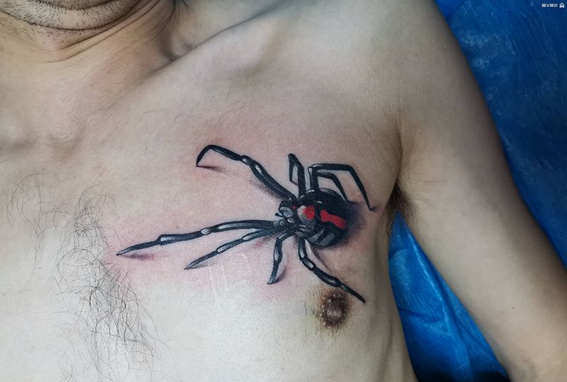 小蜘蛛纹身图片_胸部欧美写实纹身图案