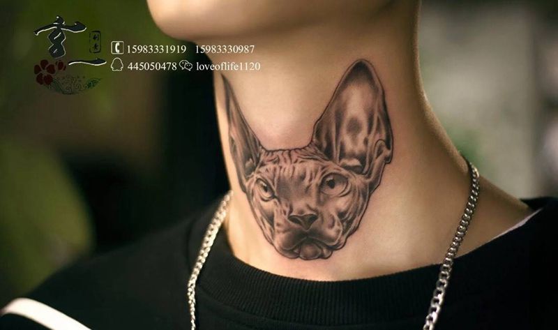 无毛猫一枚纹身图片