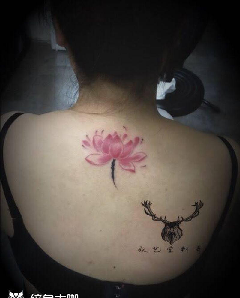 红莲花纹身图片