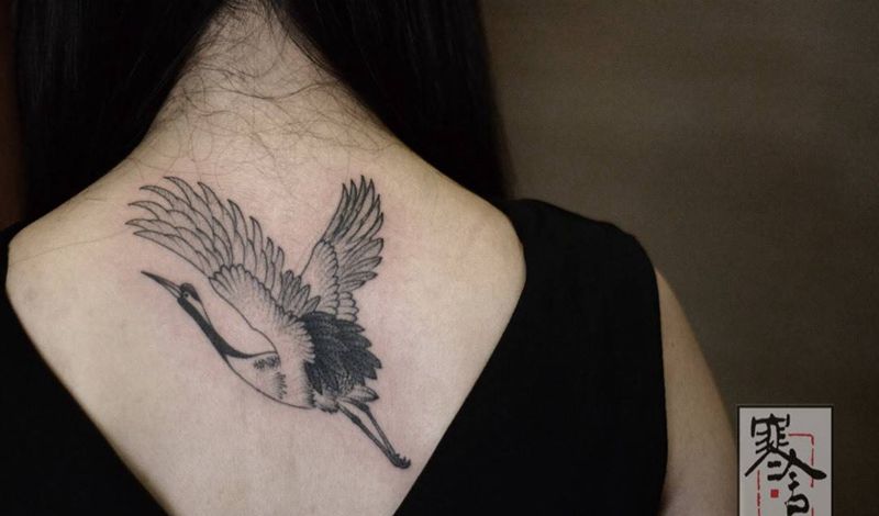 鹤纹身图片