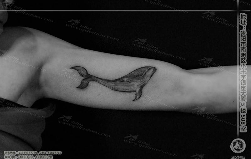 鲸鱼纹身图片