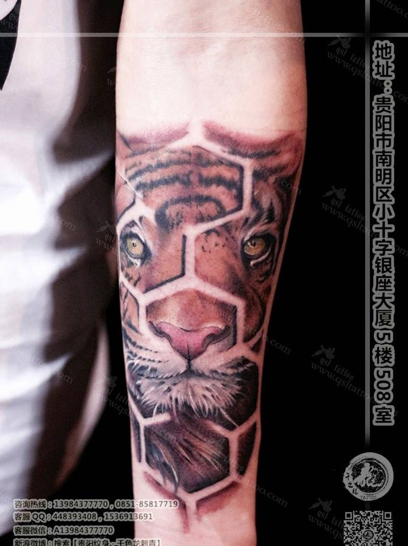 欧美老虎纹身图片