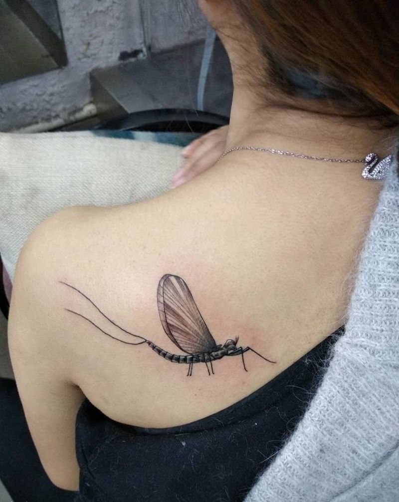 可怜的蜉蝣纹身图片
