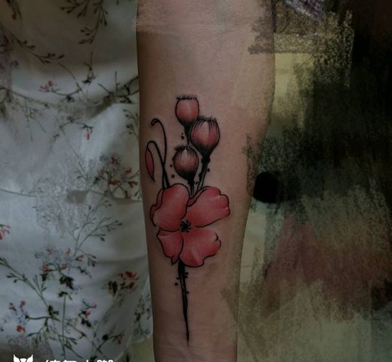 罂粟花纹身图片