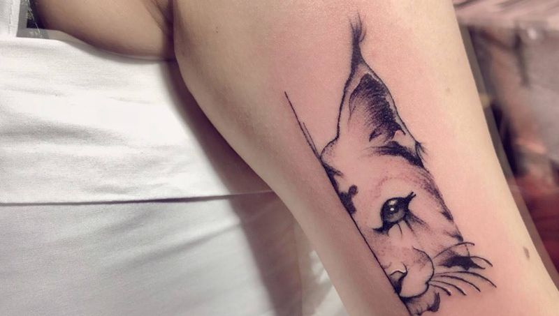 猫猫纹身图片