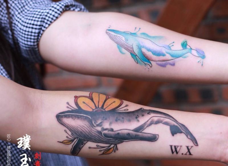 一对情侣的两只鲸