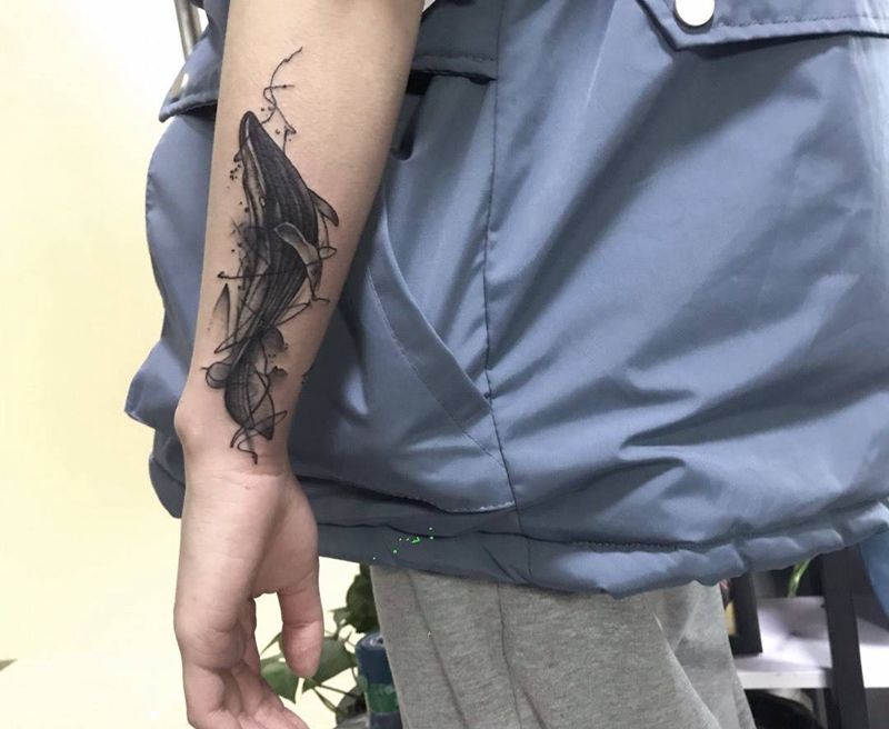 鲸鱼遮盖纹身图片