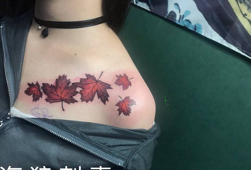 枫叶纹身图片
