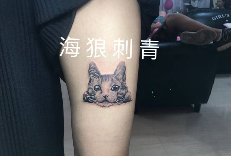 猫咪纹身图片