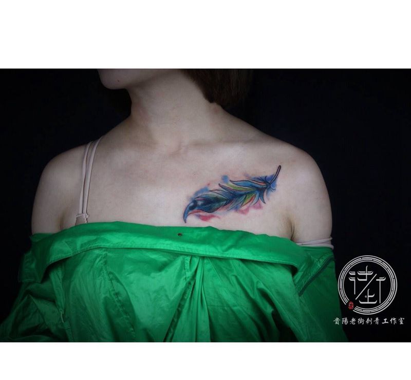 羽毛遮盖纹身图片_欧美成品清新静物动物贵阳胸部纹身图案